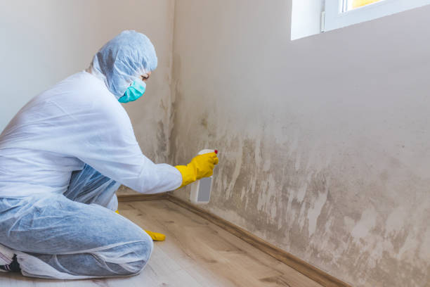 Licensed Mold Remediation service in Hanscom AFB, MA - Mold Remediation HQ