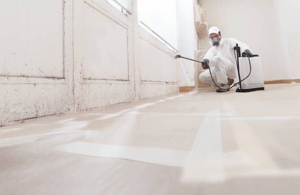 24/7 Emergency Mold Remediation experts in Hanscom AFB, MA