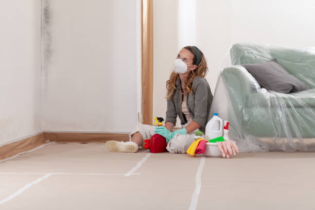 Reliable Mold Remediation contractor in Hanscom AFB, MA by Mold Remediation HQ